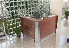 Ресепшн "Рапид"